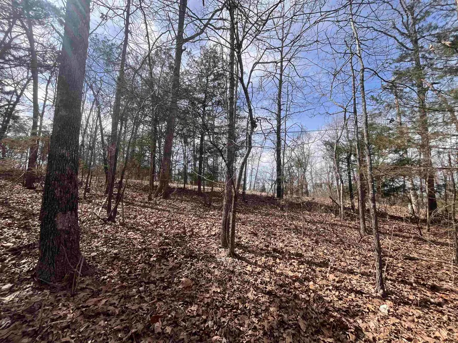 000 Boanna Drive, Cherokee Village, MO 72529 - Image #2