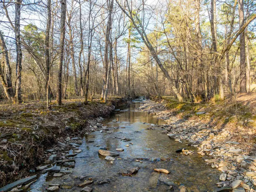 TBD Cedar Creek Road, Hot Springs, AR 71901 - Image #2