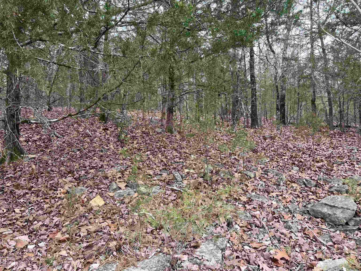 TBD Isleta Drive, Cherokee Village, AR 72529 - Image #1