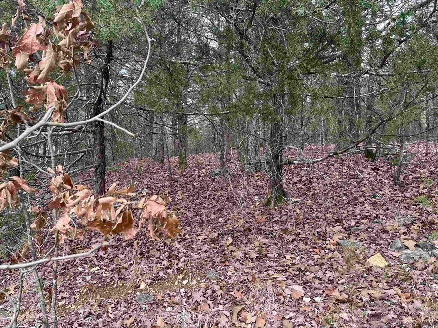 TBD Isleta Drive, Cherokee Village, AR 72529 - Image #2