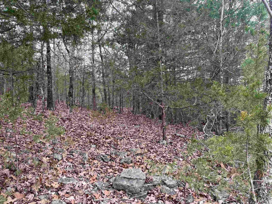 TBD Isleta Drive, Cherokee Village, AR 72529 - Image #3