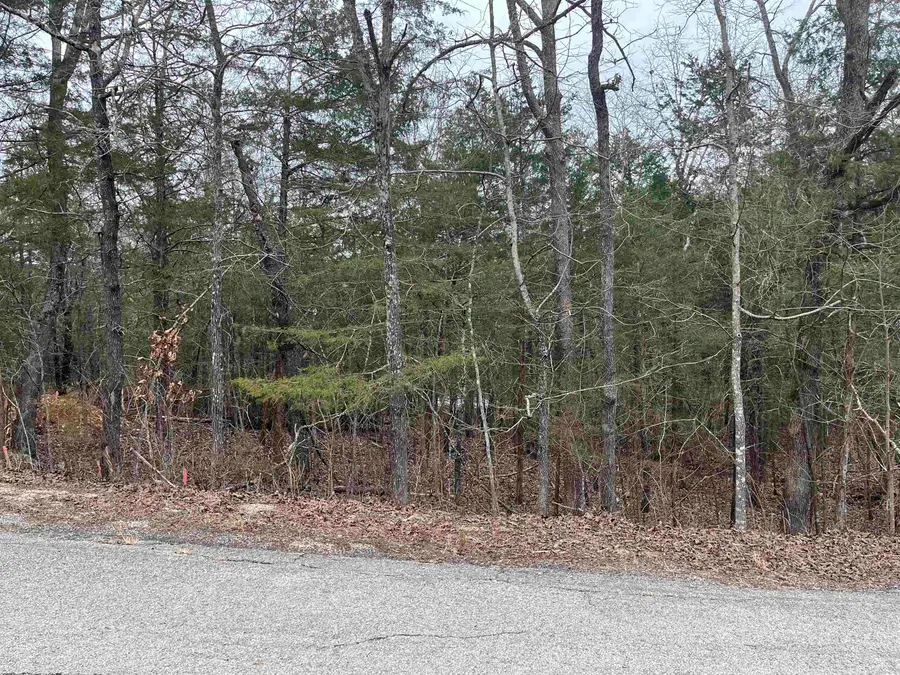 TBD Isleta, Cherokee Village, AR 72529 - Image #2