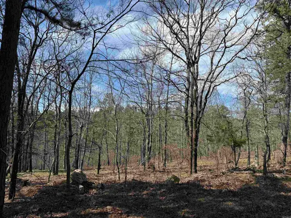 TBD Sangster Lane, Hot Springs, AR 71901