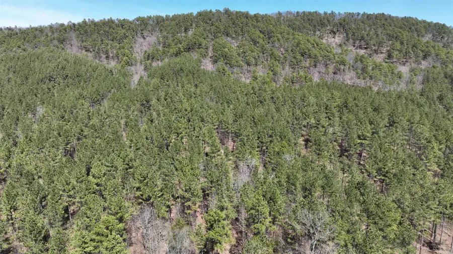 TBD Highway 375 East (lot 5), Mena, AR 71953 - Image #3