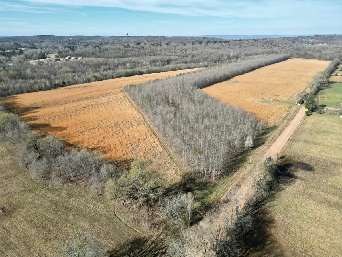 TBD Miller Creek Road, Batesville, AR 72501 - Image #1