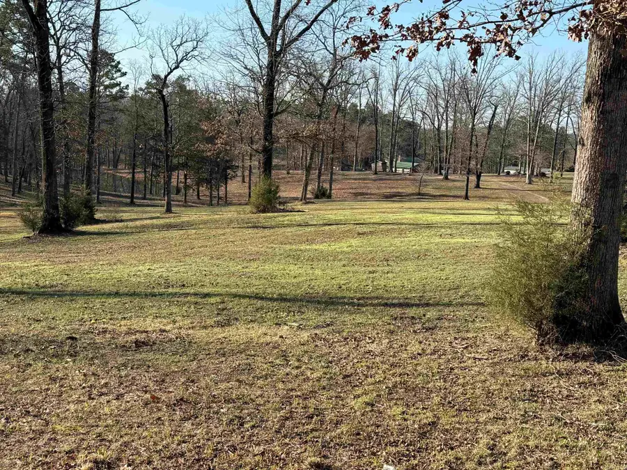 TBD Polk Road 168 Lot #4, Mena, AR 71937 - Image #3