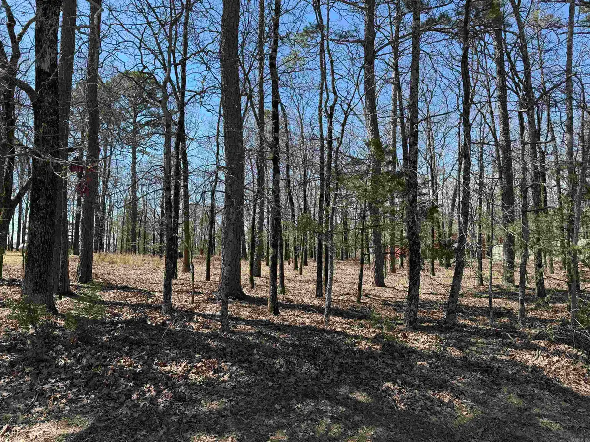 000 Eagle Ridge Trace, Fairfield Bay, AR 72088 - Image #1