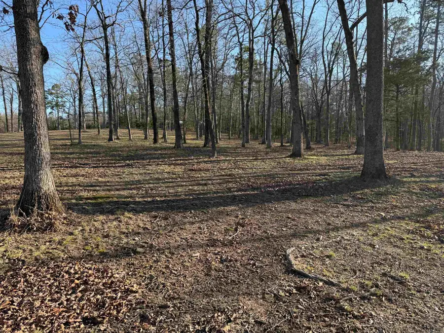 TBD S Hwy 71 Lot #2, Mena, AR 71953 - Image #2