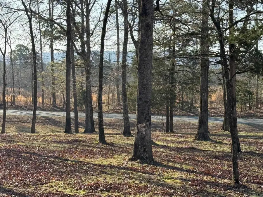 TBD S Hwy 71 Lot #2, Mena, AR 71953 - Image #3