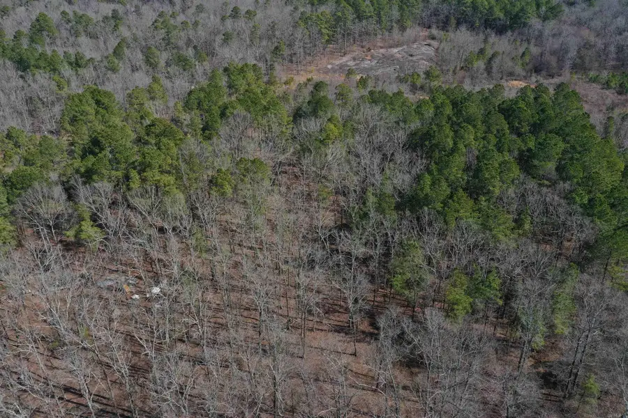 45 Rustic Way, Amity, AR 71921 - Image #2