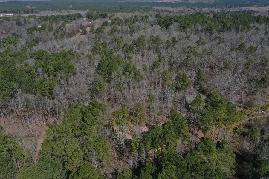 45 Rustic Way, Amity, AR 71921 - Image #3