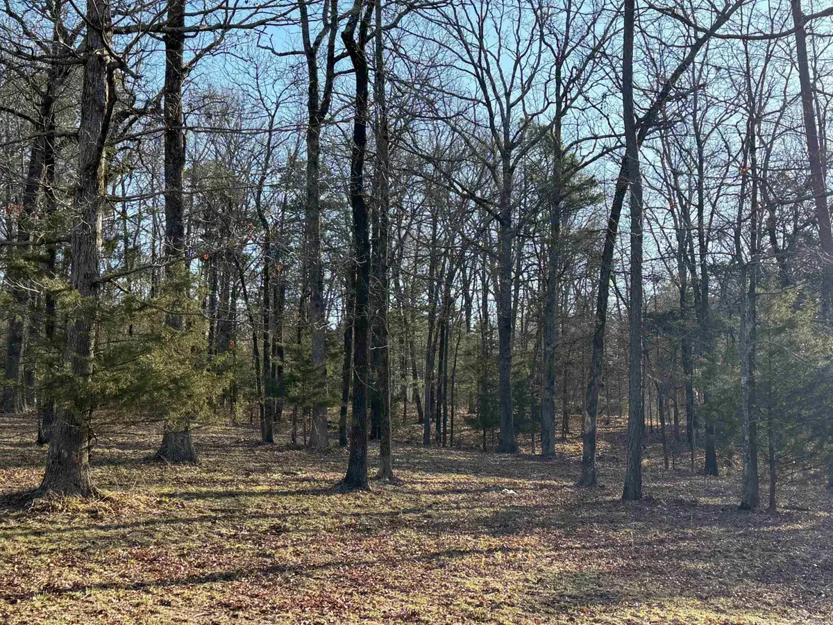 TBD Polk Road 168 Lot #3, Mena, AR 71953 - Image #1