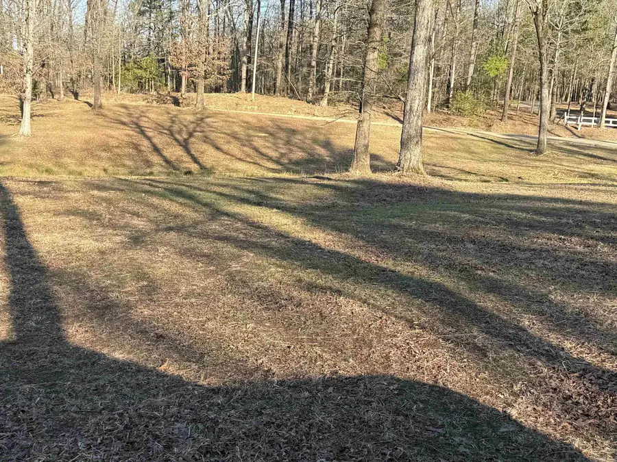 TBD Polk Road 168 Lot #3, Mena, AR 71953 - Image #2