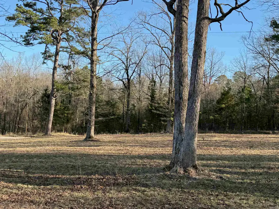 TBD Polk Road 168 Lot #3, Mena, AR 71953 - Image #3