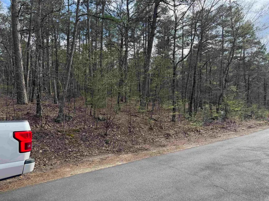 18 Fineza Way, Hot Springs Village, AR 71909 - Image #2