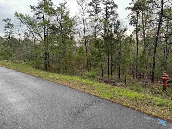 22 Jubileo Way, Hot Springs Village, AR 71909