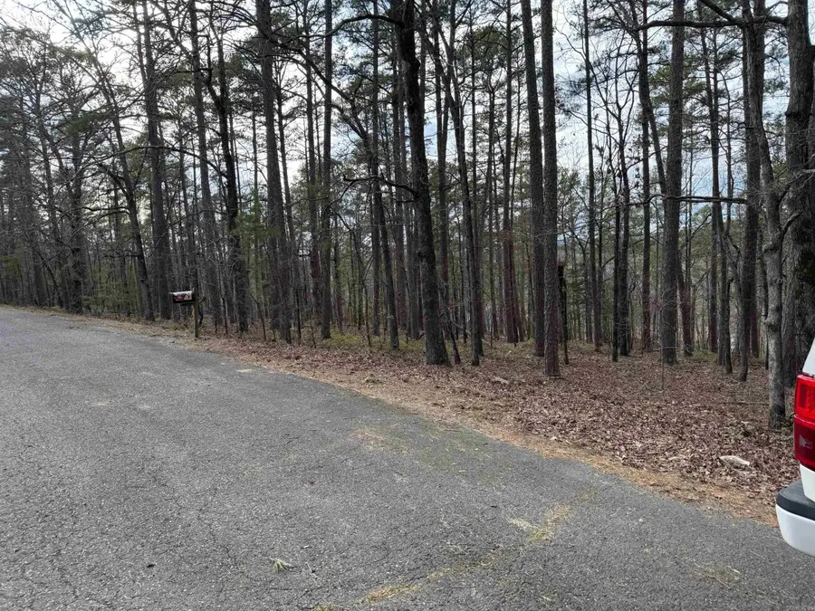 42 Estancia Circle, Hot Springs Village, AR 71909 - Image #2