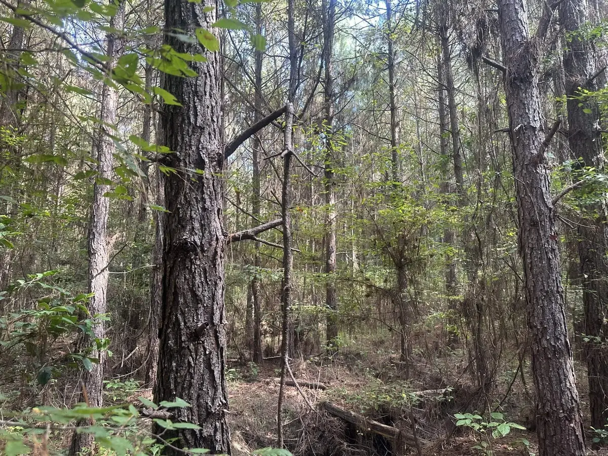 Address Withheld By Seller, Mount Holly, AR 71758 - Image #1