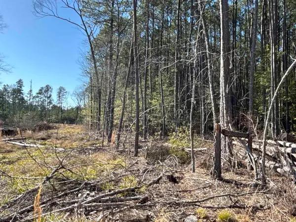 1 West Dallas County Line 20, Sparkman, AR 71763