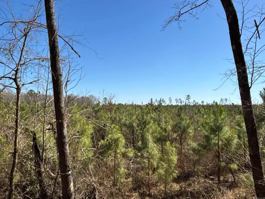 1 Palmetto Rd, Sparkman, AR 71763 - Image #3