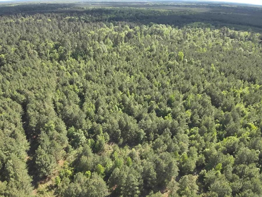 1 West Ouachita Hwy 7, Owen, AR 71726 - #3