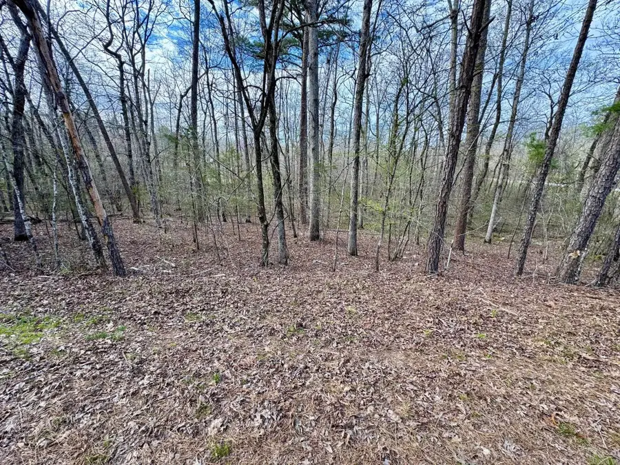 3 Saldana Way, Hot Springs Village, AR 71909 - Image #2