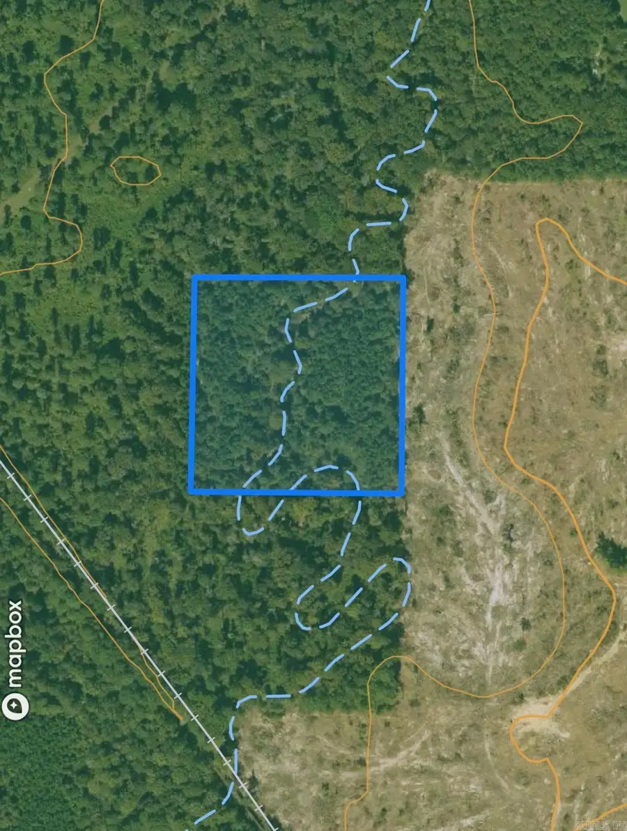 *** County Road 114 Road, Johnsville, AR 71647 - Image #2