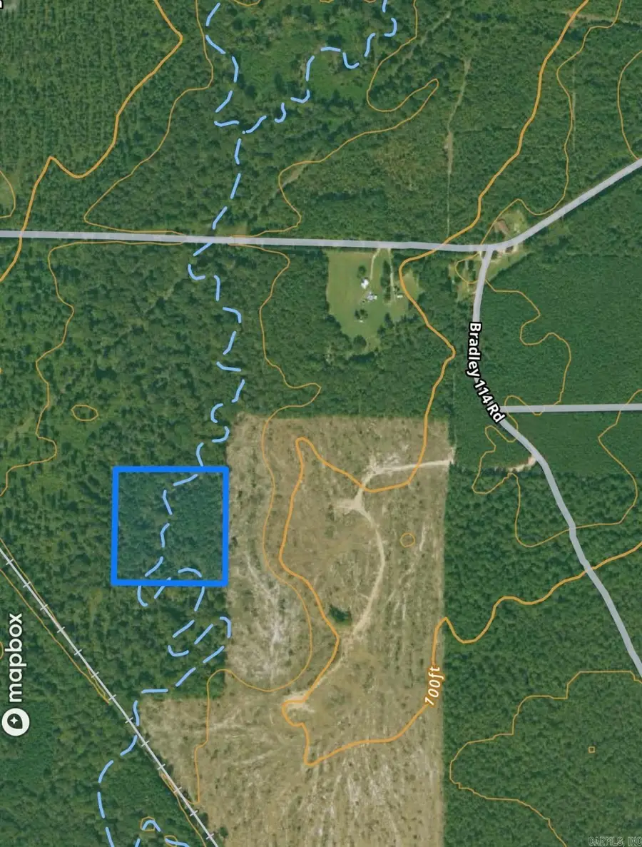 *** County Road 114 Road, Johnsville, AR 71647 - Image #3