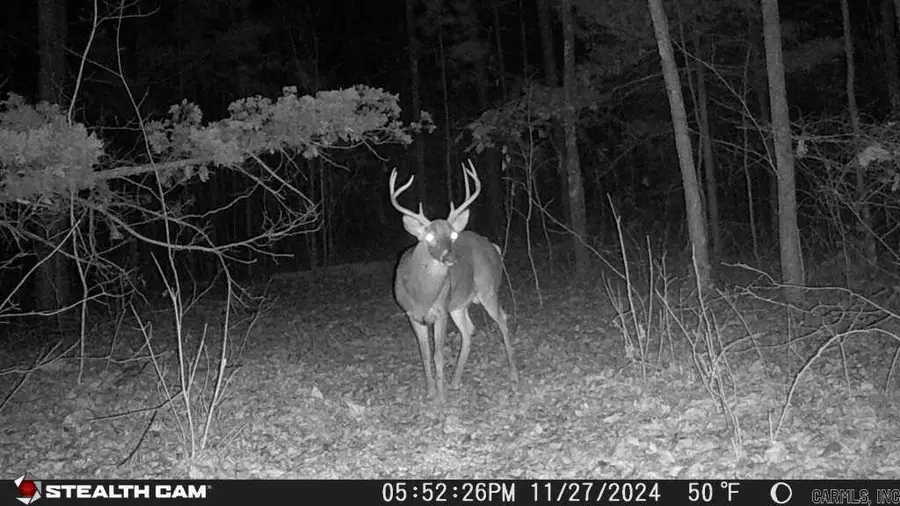 4429 Oyler Road, Clinton, AR 72031 - Image #2