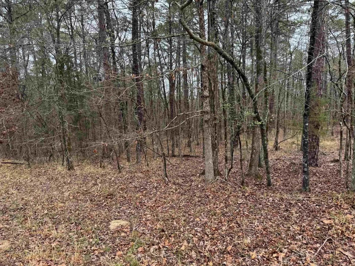 23 Brilliante Lane, Hot Springs Village, AR 71909 - Image #1