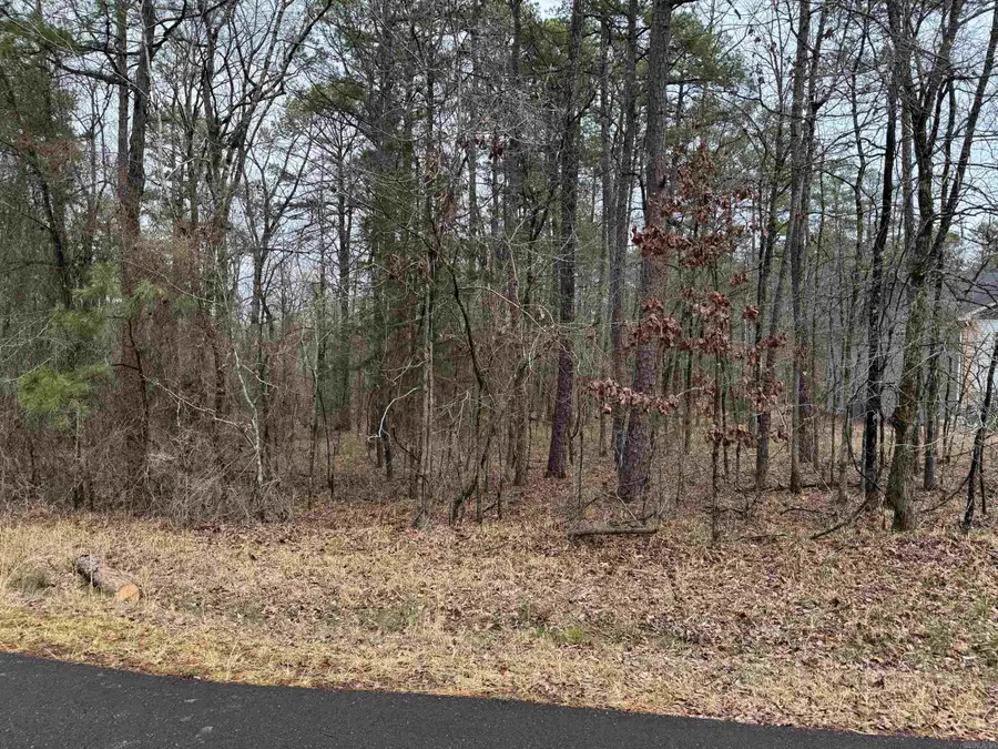 23 Brilliante Lane, Hot Springs Village, AR 71909 - Image #2