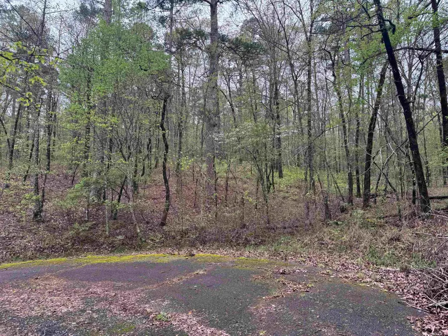 11 Tazon Lane, Hot Springs Village, AR 71909 - Image #2