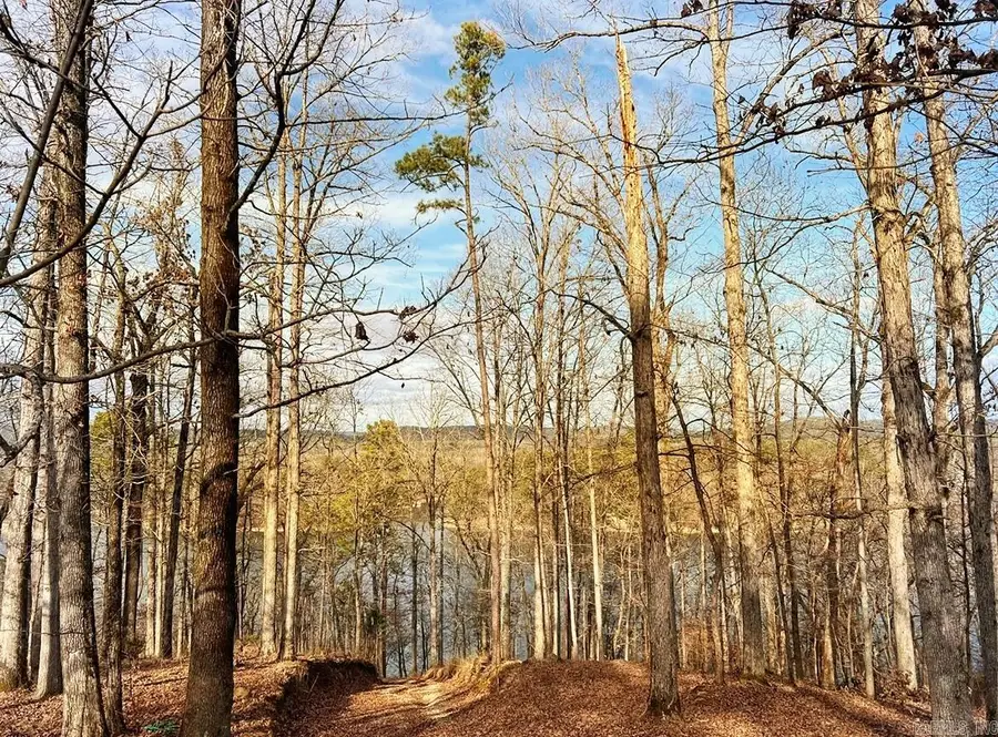 Address Withheld By Seller, Hot Springs, AR 71913 - Image #3