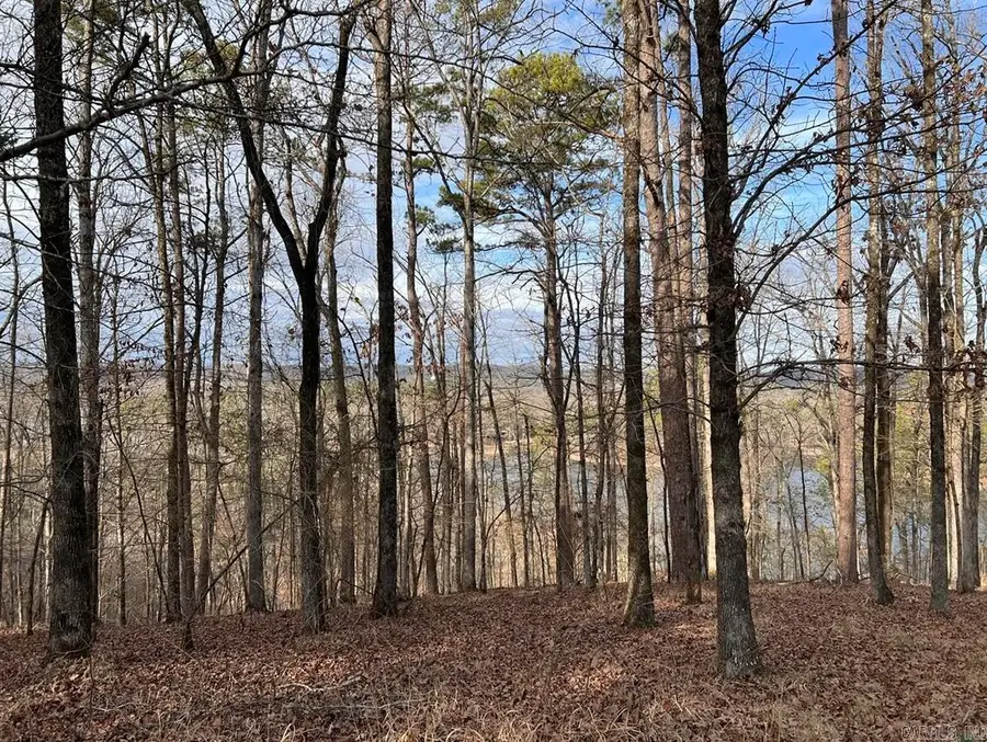 Address Withheld By Seller, Hot Springs, AR 71913 - Image #2