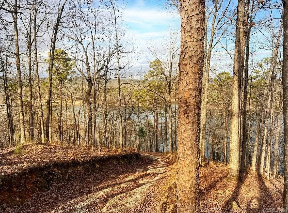 Address Withheld By Seller, Hot Springs, AR 71913 - Image #1