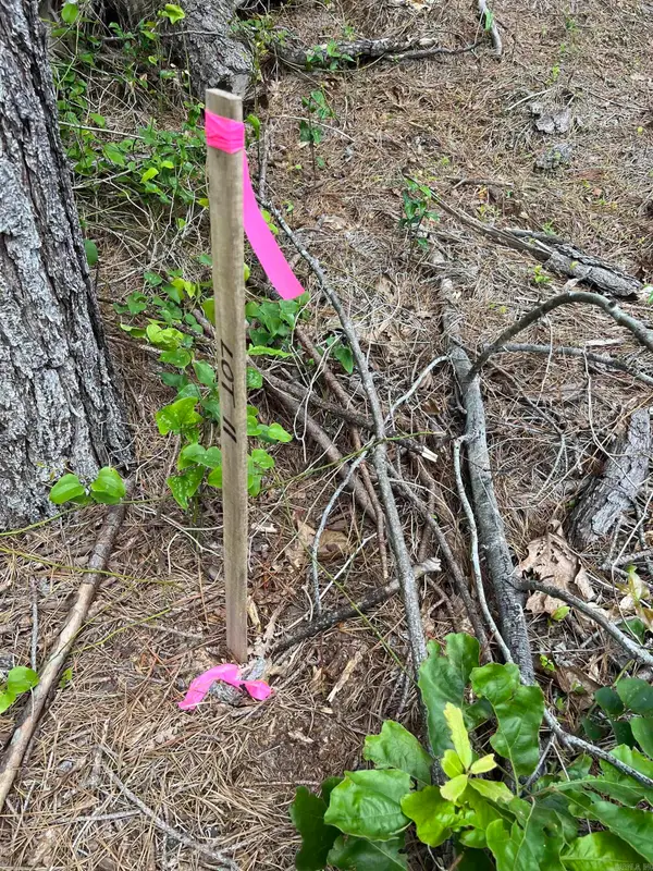 Tract #11 Castle, Glenwood, AR 71943