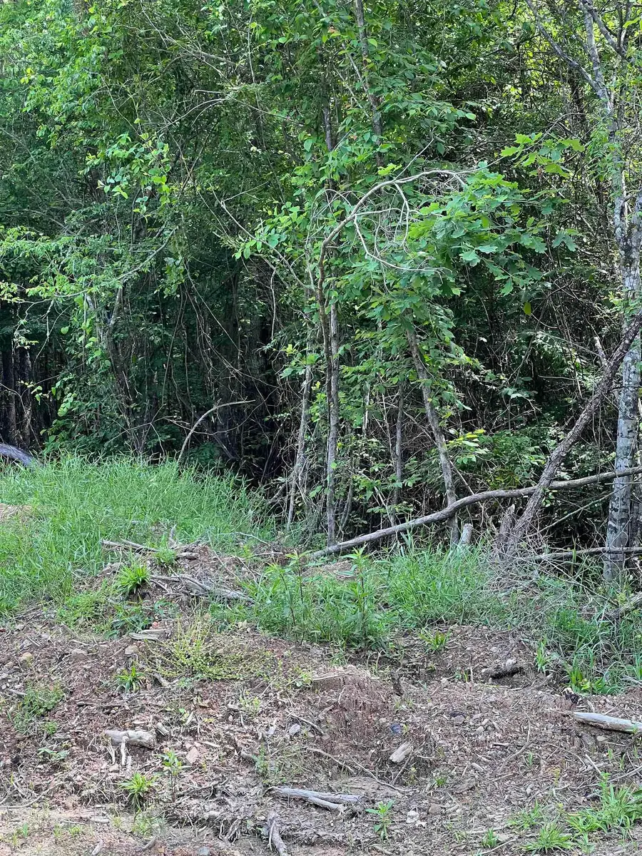 Tract #11 Castle, Glenwood, AR 71943 - Image #2