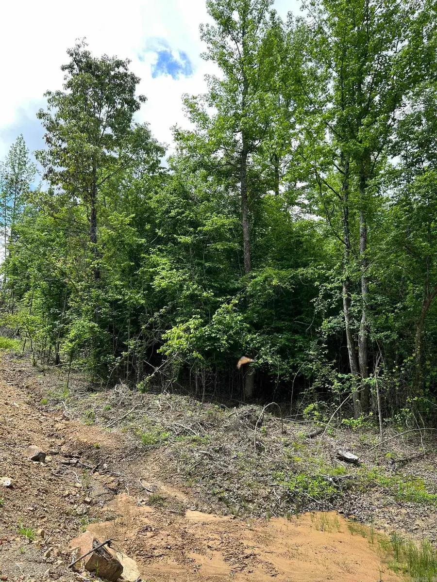 Tract #11 Castle, Glenwood, AR 71943 - Image #3