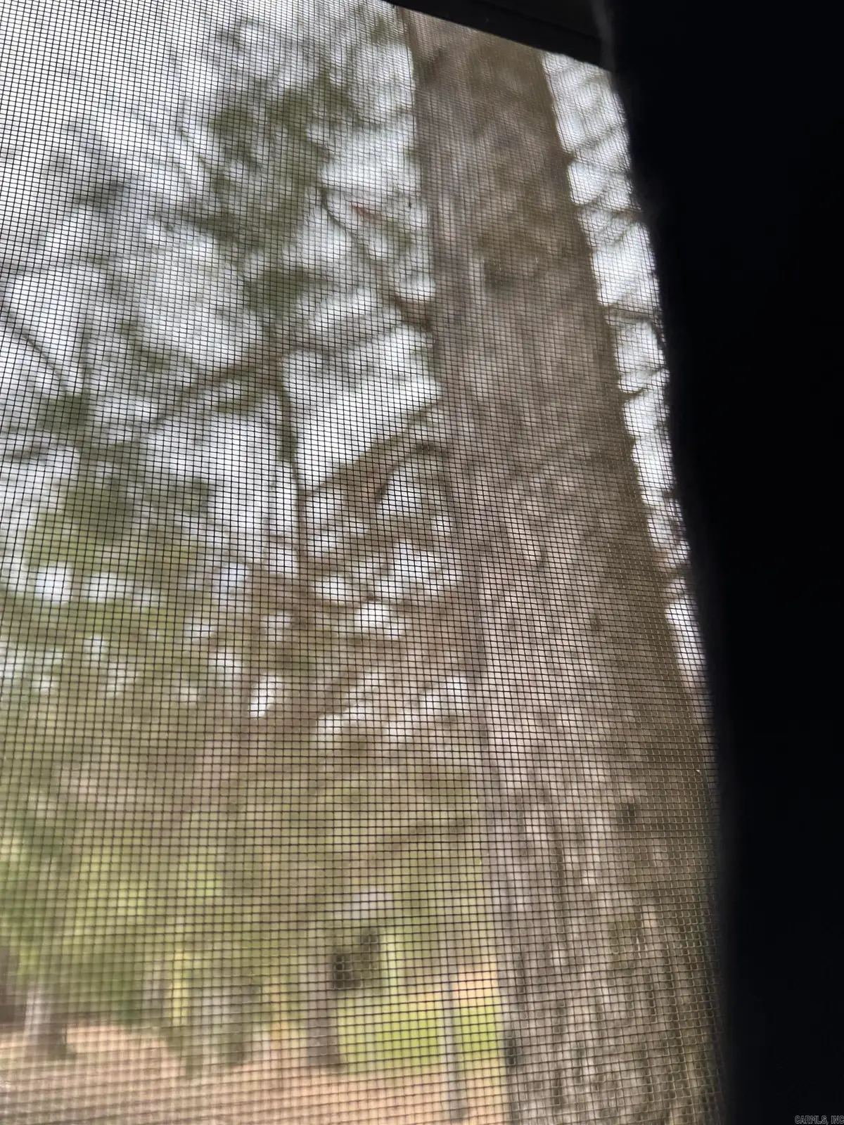 4003 Highway 54, Pine Bluff, AR 71603 - Image #1