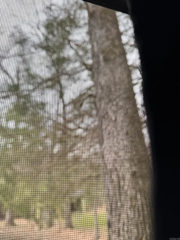 4003 Highway 54, Pine Bluff, AR 71603