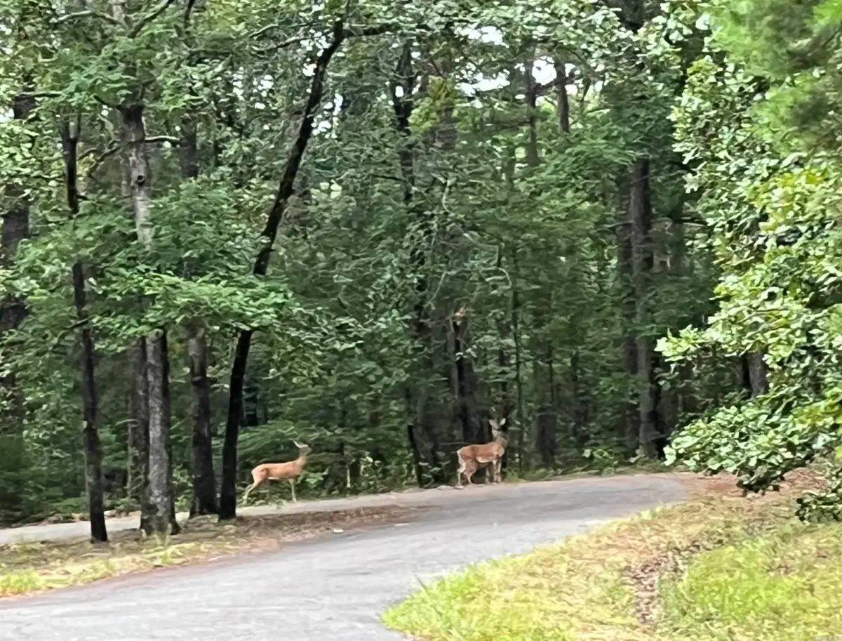 2 Caceres Pl, Hot Springs Village, AR 71909 - Image #1