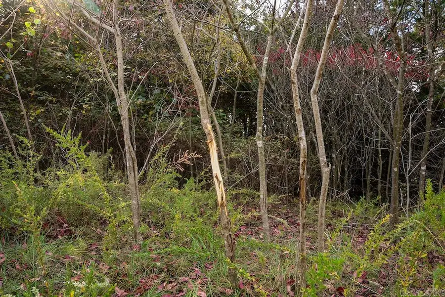 n/a Cr 663, Oak Grove, AR 72660 - Image #3