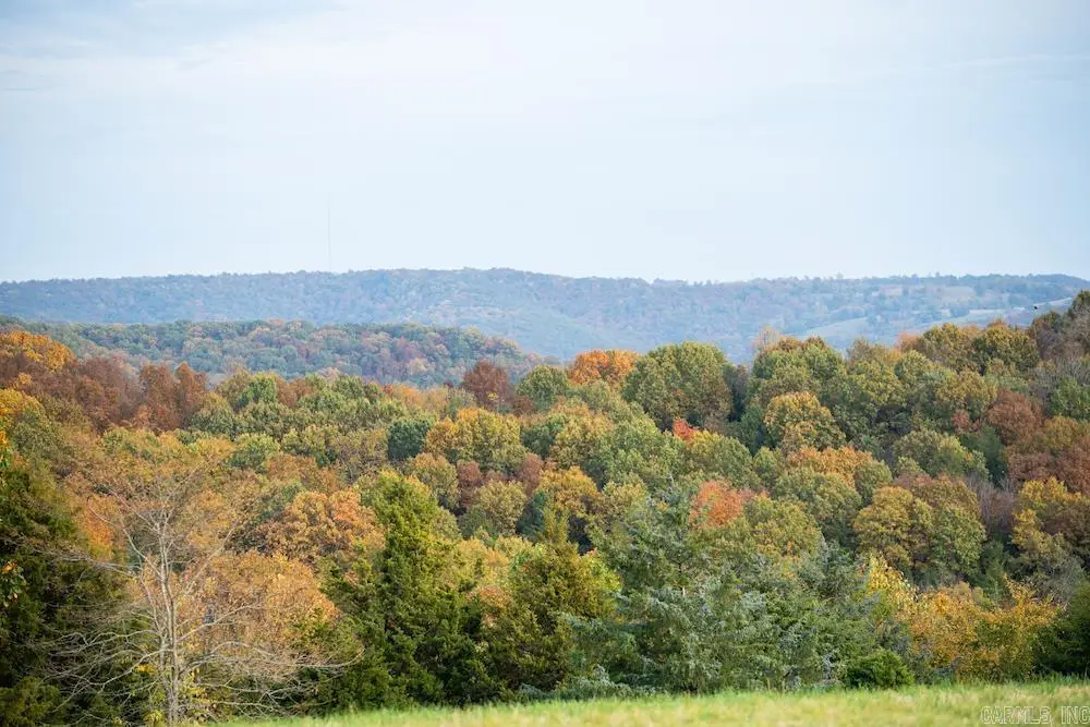 Address Withheld By Seller, Oak Grove, AR 72660 - Image #1