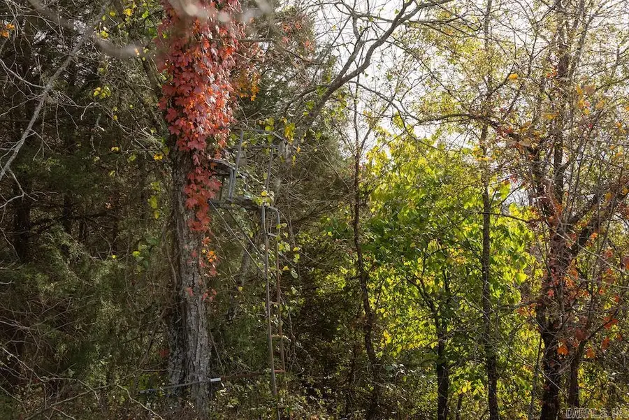 n/a Cr 663, Oak Grove, AR 72660 - Image #2