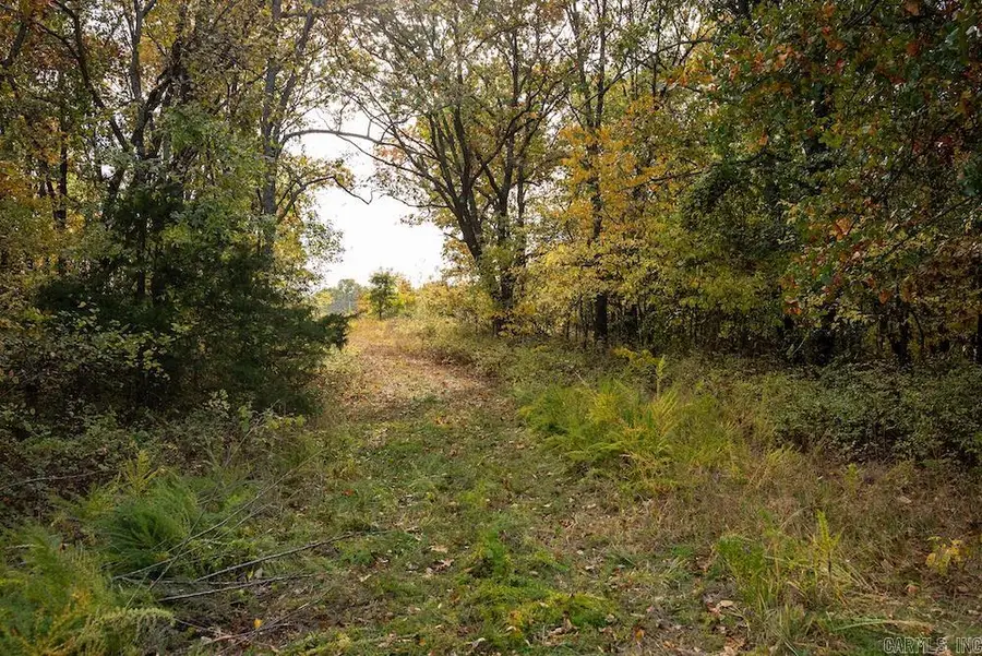 n/a Cr 663, Oak Grove, AR 72660 - Image #3