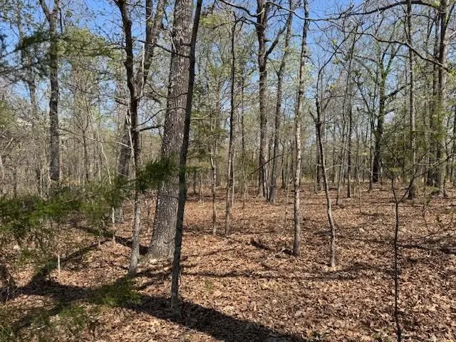 410 N Sequoia Drive, Horseshoe Bend, AR 72512 - Image #1