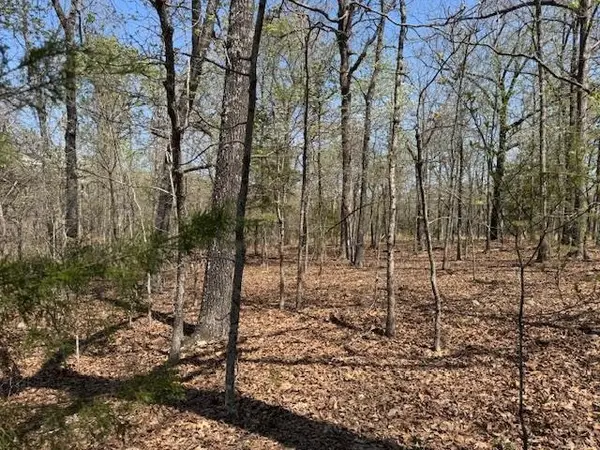 410 N Sequoia Drive, Horseshoe Bend, AR 72512