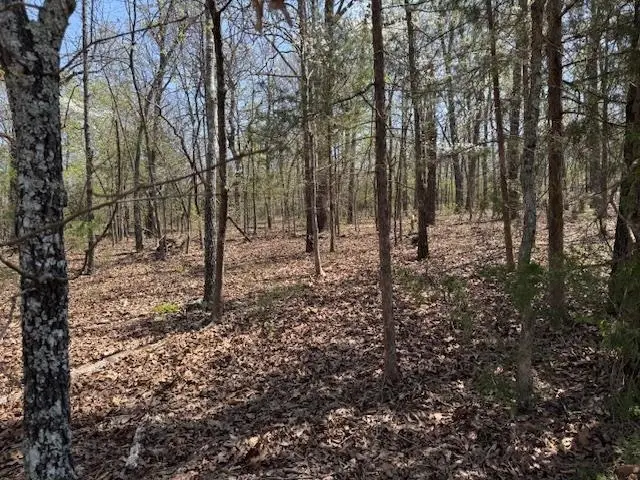 410 N Sequoia Drive, Horseshoe Bend, AR 72512 - Image #3