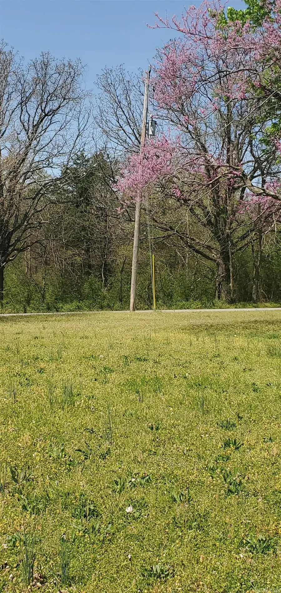 000 Maple Drive, Mountain View, AR 72560 - Image #3