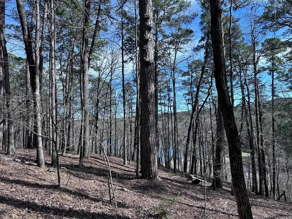 Address Withheld By Seller, Hot Springs Village, AR 71909 - Image #1